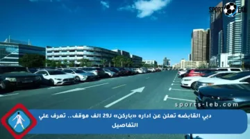 دبي القابضة تعلن عن إدارة «باركن» لـ29 ألف موقف.. تعرف على التفاصيل